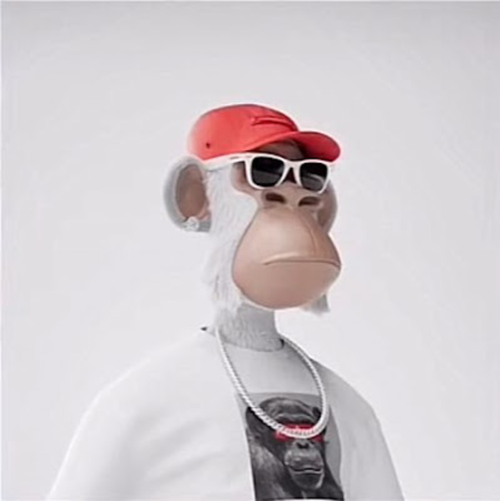 Meet your Posher, Phillip